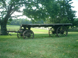 wagon2.jpg